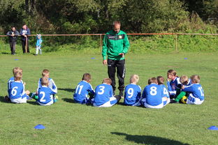 开云体育娱乐-德甲球队构建战术模拟平台辅助赛中调整，德甲模式